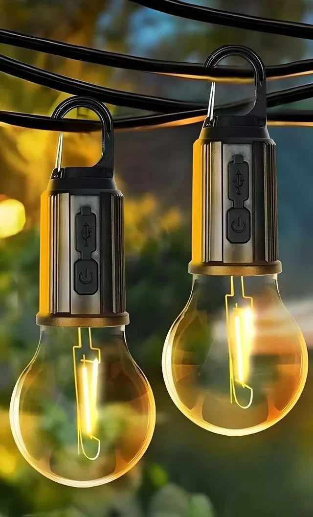 Decorative Hanging Bulb
